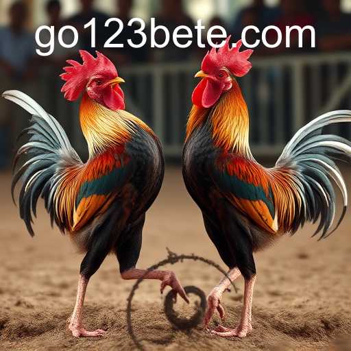 Exploring the World of Sabong Games: A Comprehensive Guide